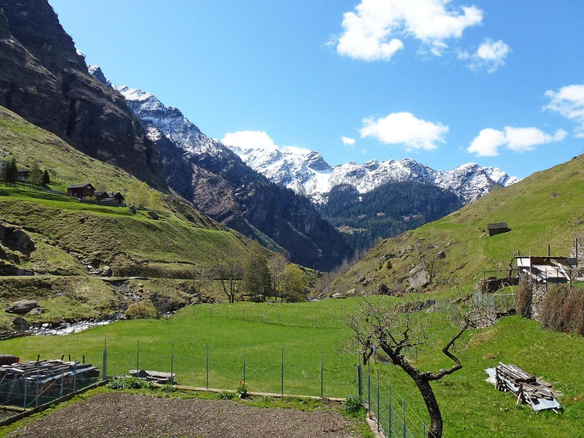 Chalet Rustico Orino By Interhome Alpe di Scieru Eksteriør bilde